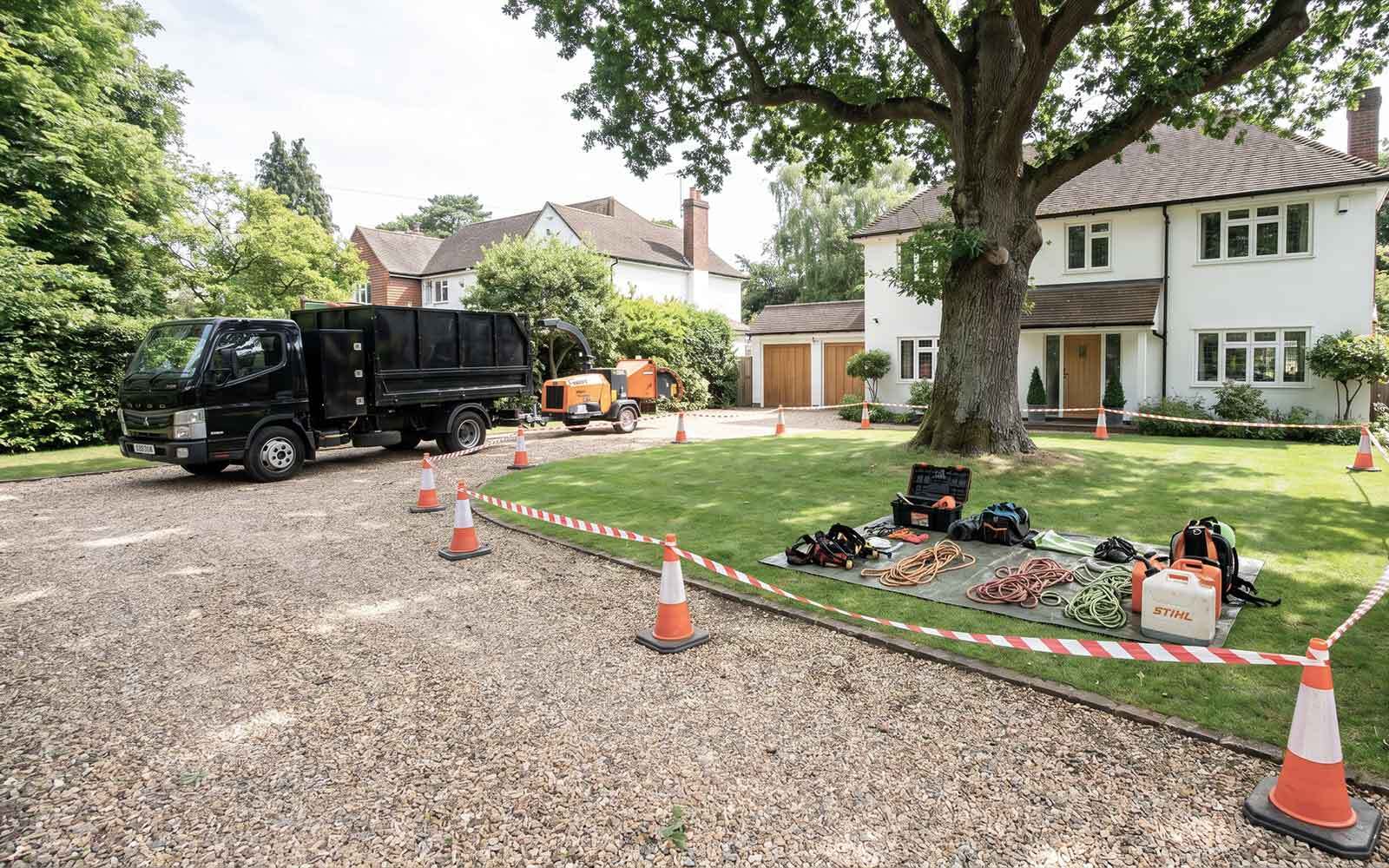 Oakley Tree Surgery Work