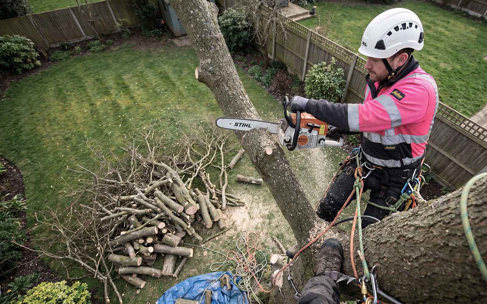 Oakley Tree Surgery Work